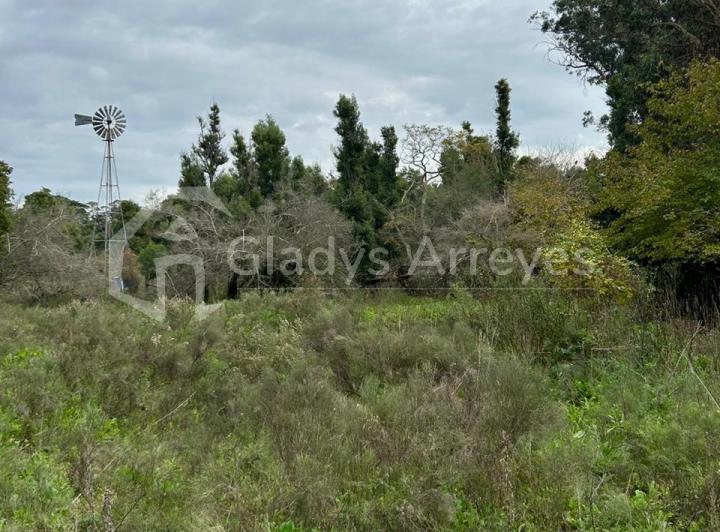 Terreno · 52719m²