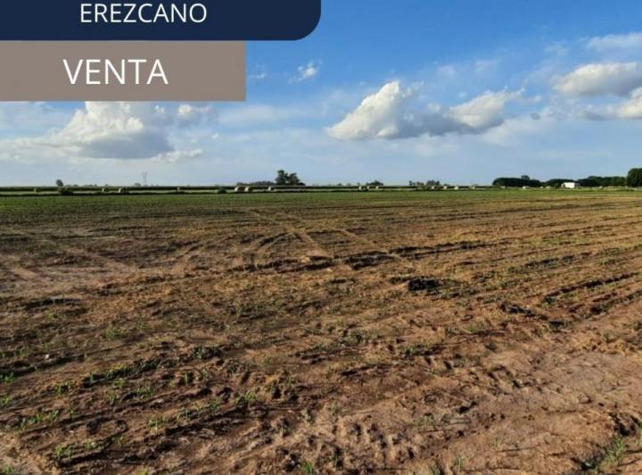 Campo · 16000m²