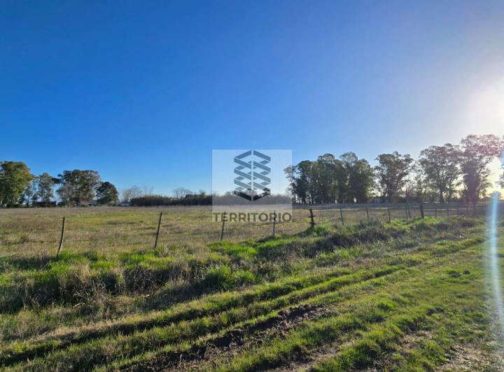 Campo · 75ha