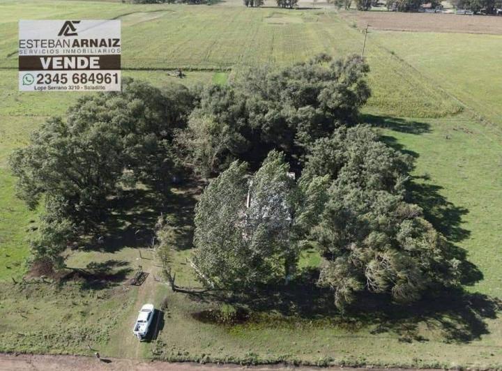 Campo · 11ha