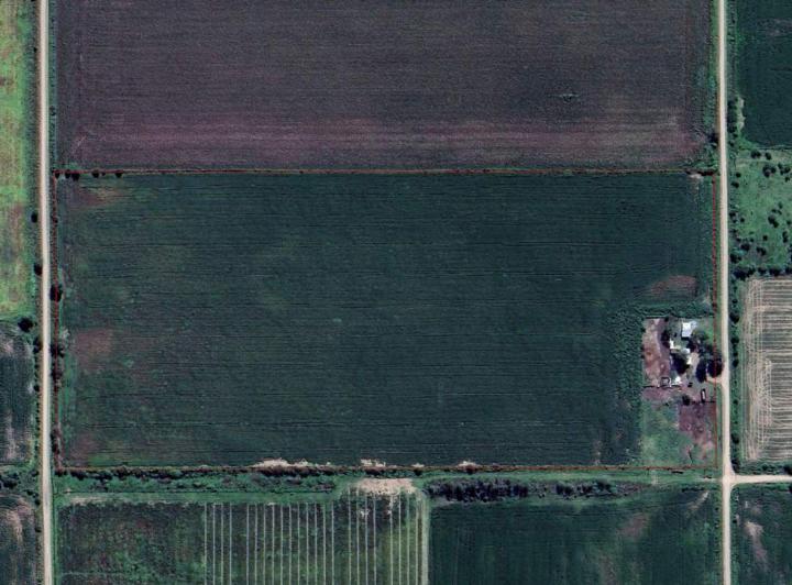 Campo · 14ha