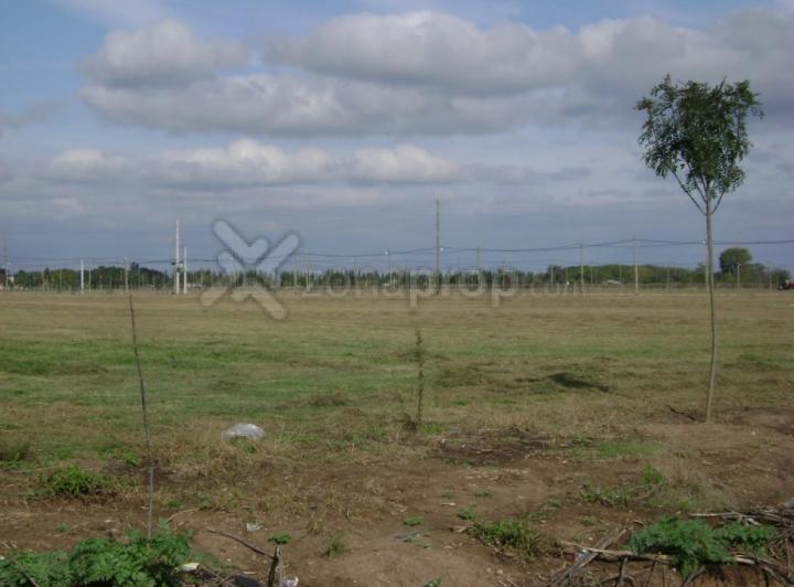 Terreno · 2279m² · 1 Ambiente