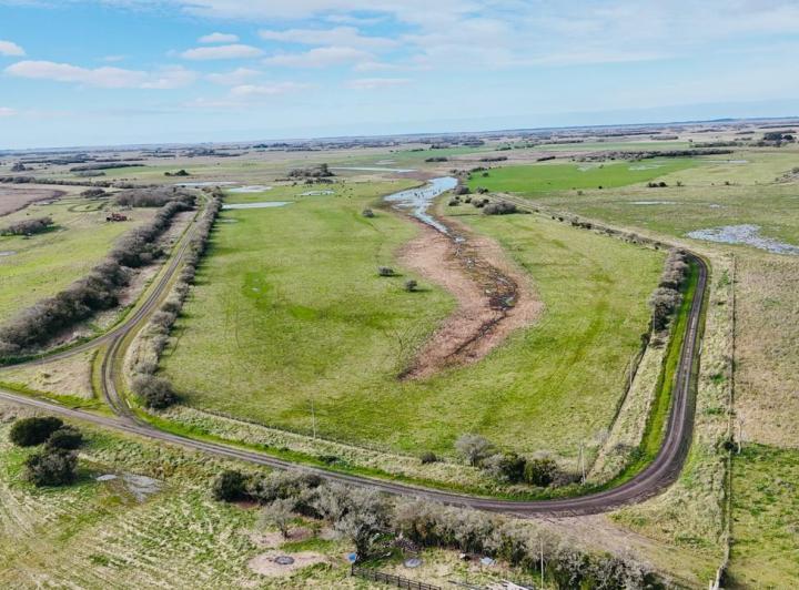 Campo · 160000ha