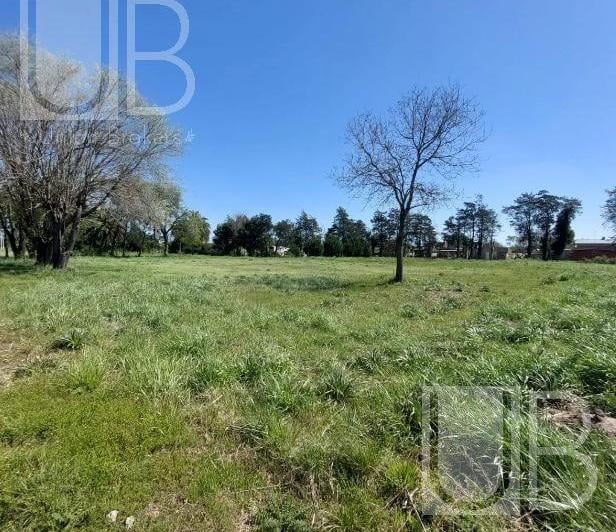 Campo · 4877m²