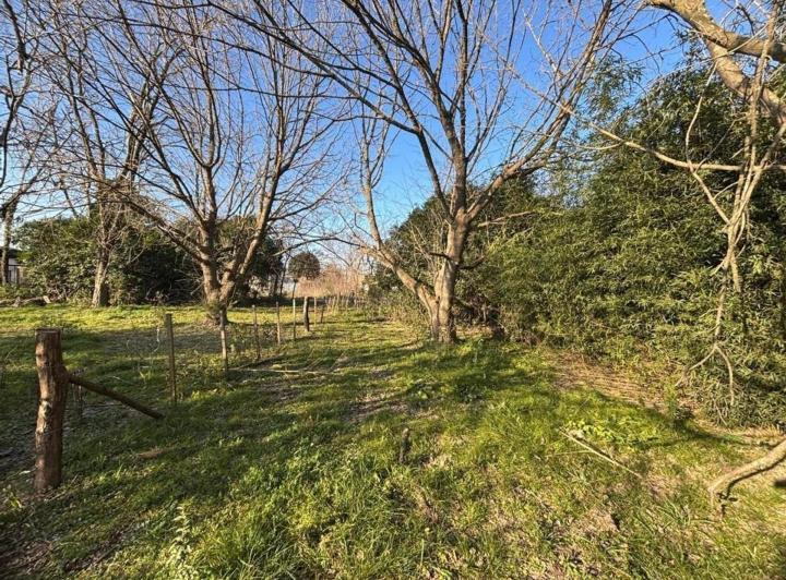 Terreno · 300m²