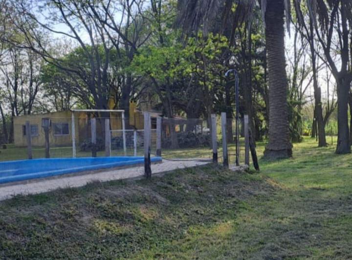 Campo · 400ha