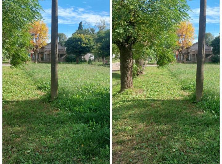 Terreno · 50m²