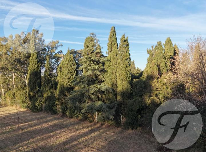 Terreno · 4028m²