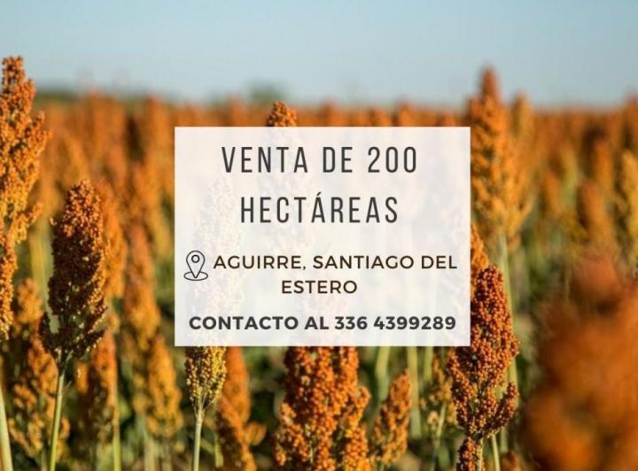 Campo · 200m²
