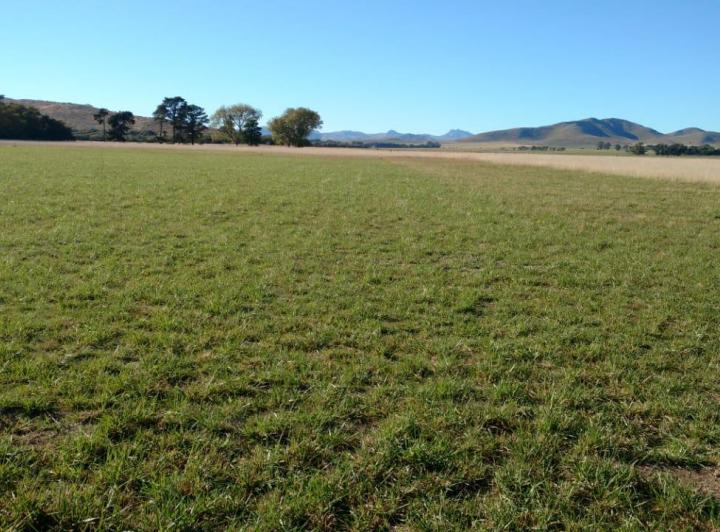 Terreno · 1500m²
