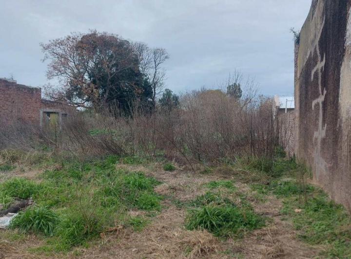Terreno · 990m²