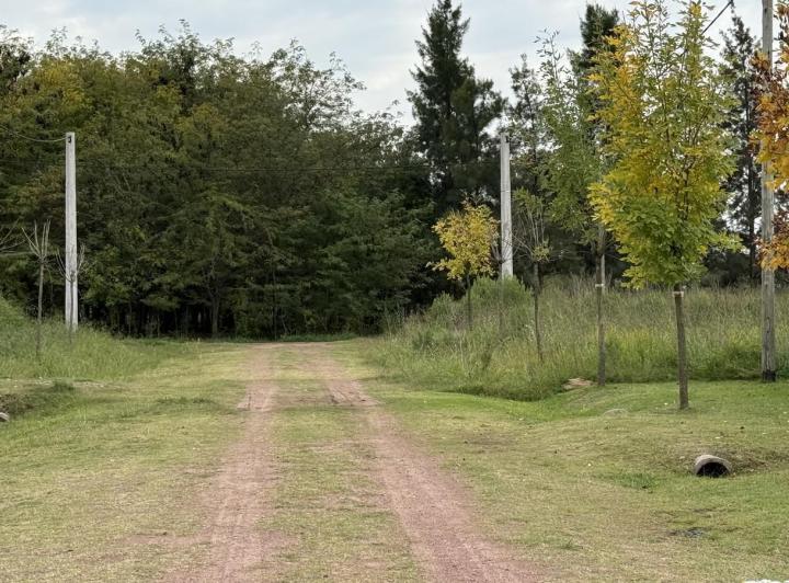 Terreno · 598m²