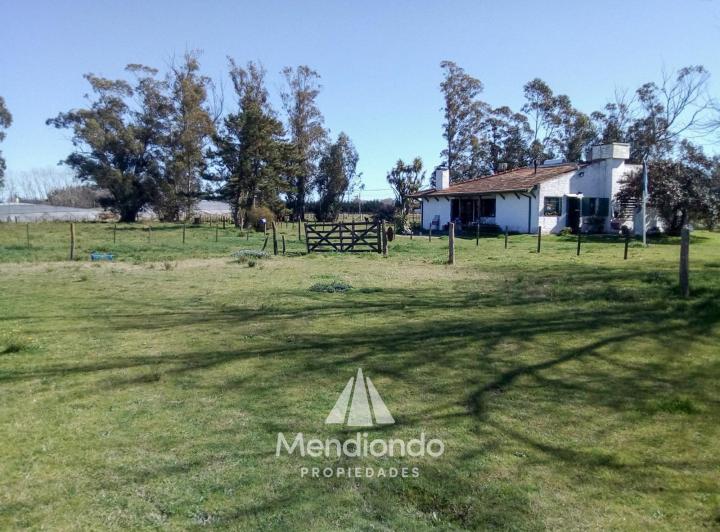 Campo · 8100m²