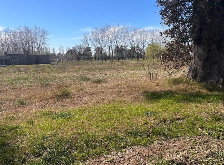 Terreno · 2800m²