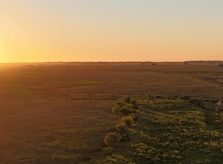 Campo · 728ha · 2 Ambientes