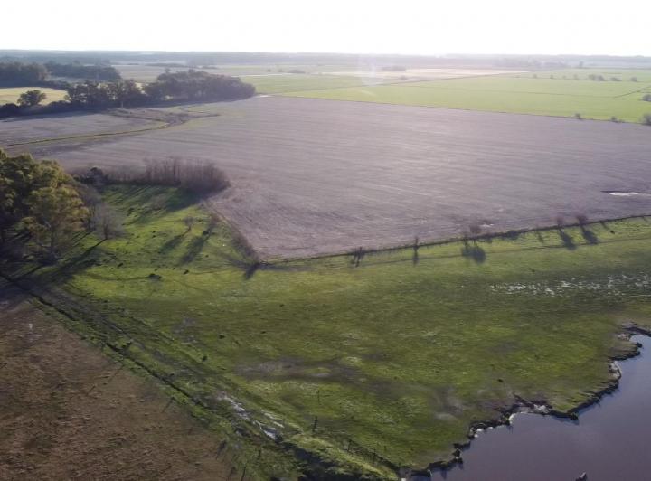 Campo · 520000m²