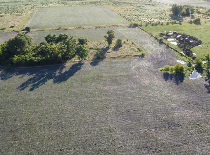 Campo · 200000m²
