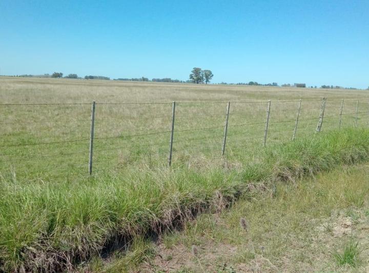 Campo · 490000m²