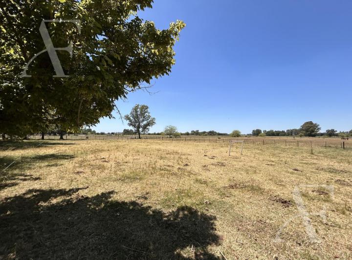 Campo · 280ha