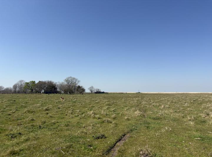 Campo · 100000ha