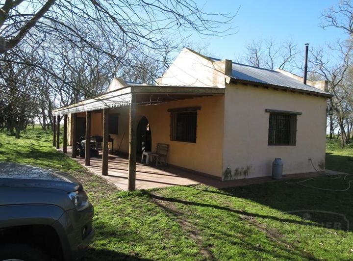 Campo