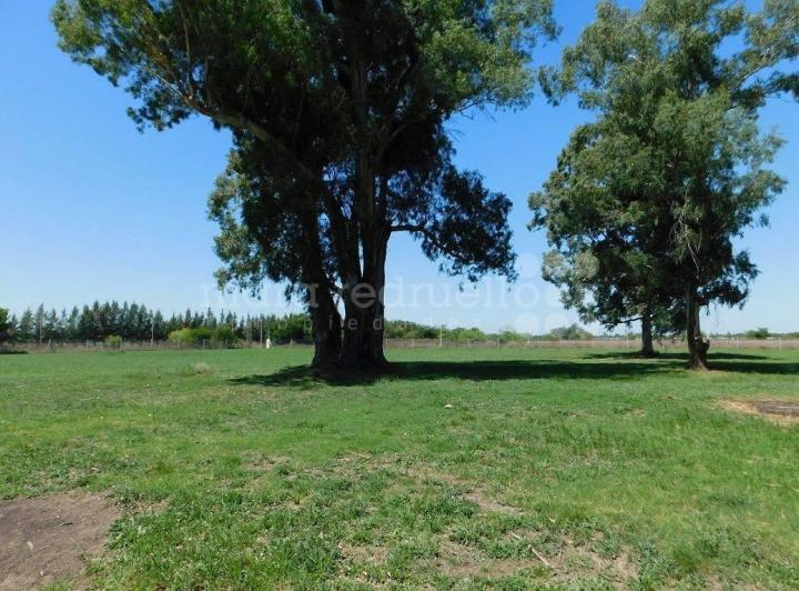 Terreno · 2500m²