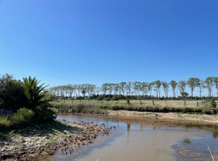 Campo · 4ha