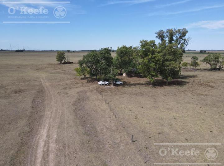 Campo · 1410000ha