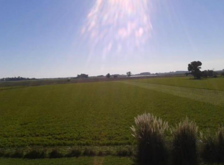 Campo · 500m² · 6 Ambientes