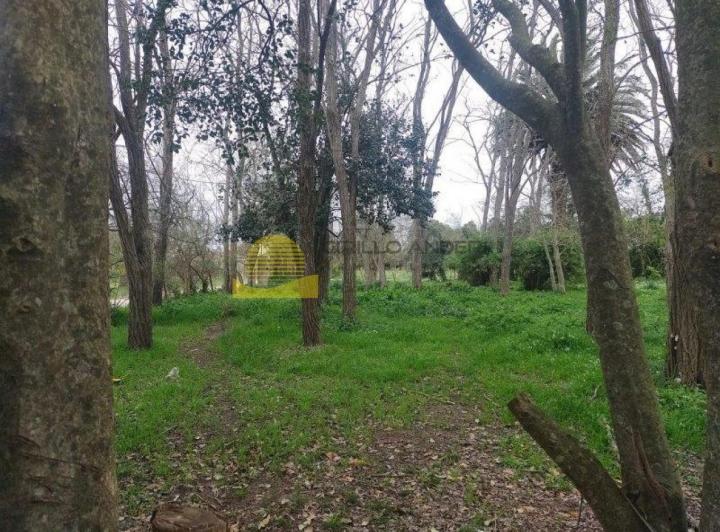Quinta vacacional · 90m² · 3 Ambientes