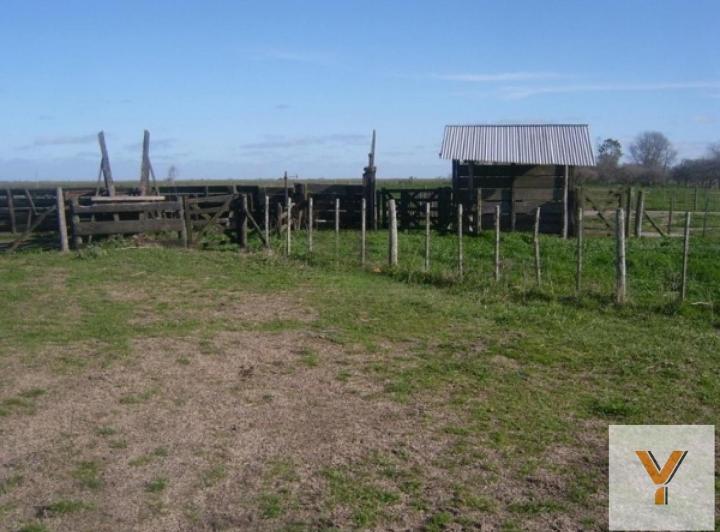 Campo · 5120000m²