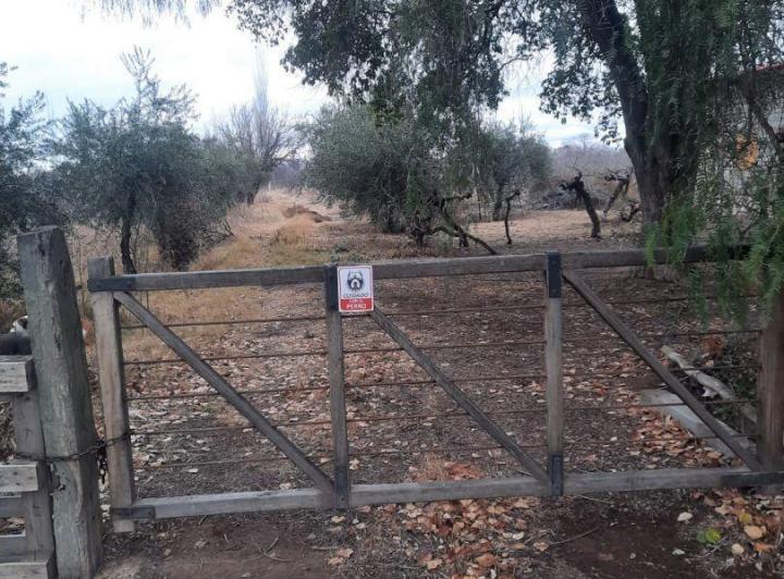 Campo · 9ha