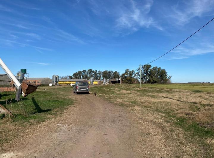 Campo · 1m²