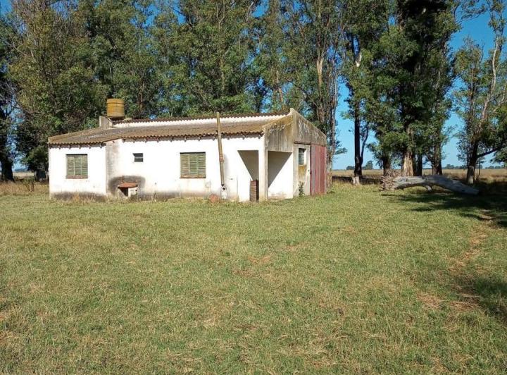 Campo · 70m² · 3 Ambientes