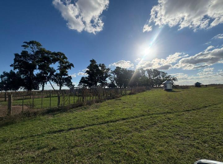 Campo · 5760000m² · 2 Ambientes
