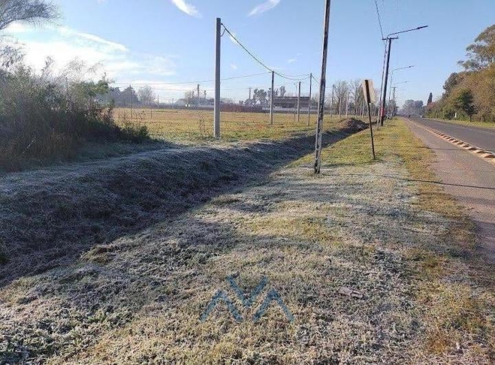 Terreno · 250m²
