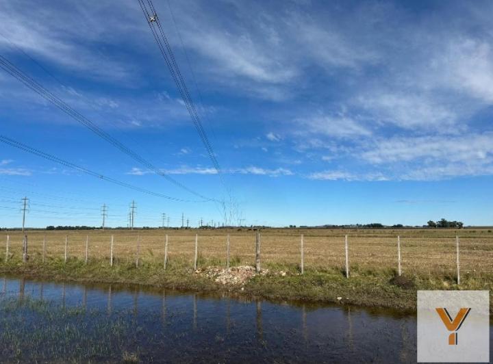 Campo · 480000m²