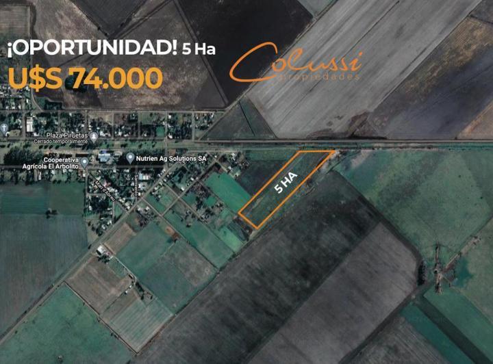Campo · 50000m²