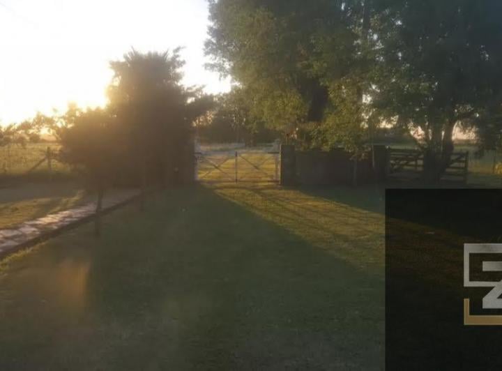 Campo · 425ha