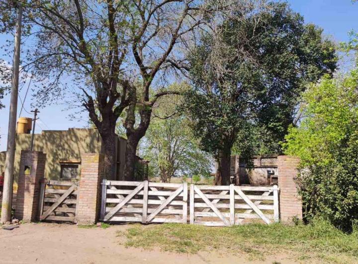 Campo · 323ha