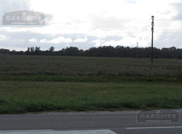 Campo
