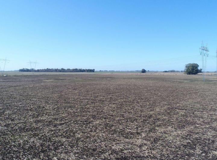 Campo · 450m²