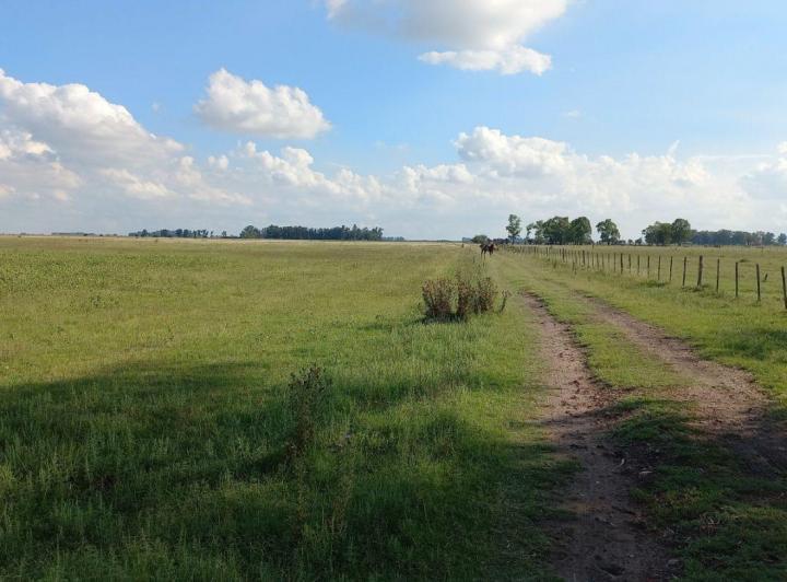 Campo · 400m²