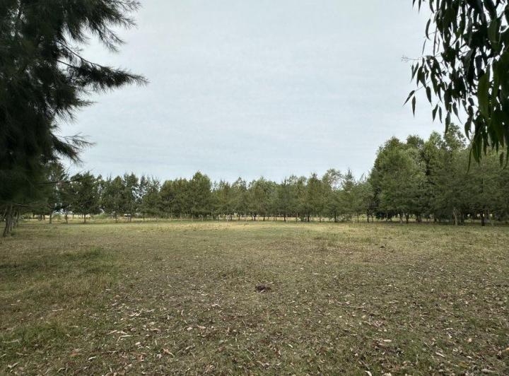 Campo · 1m²