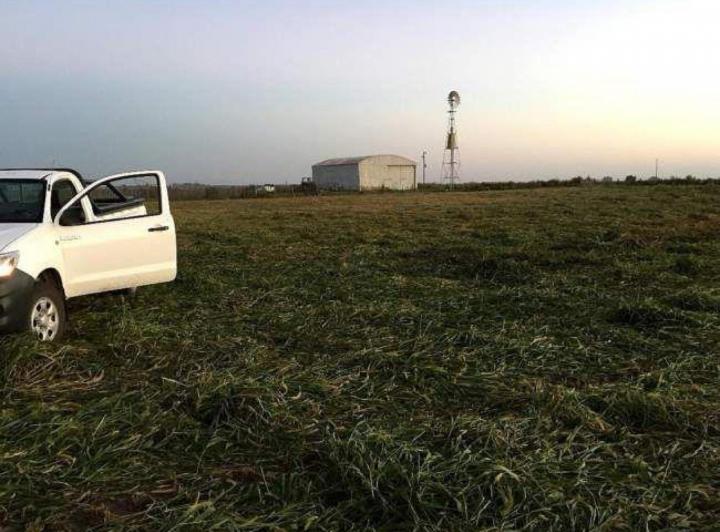 Campo · 140ha · 1 Ambiente
