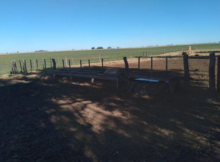 Campo · 2830000ha