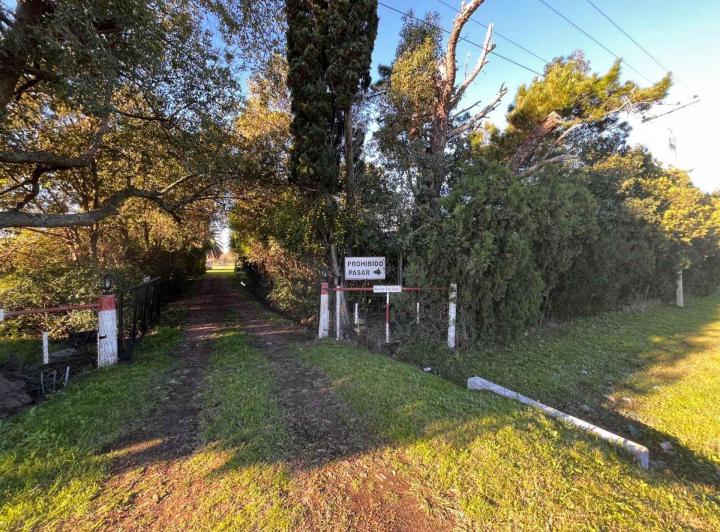 Campo · 260ha