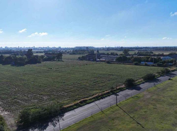 Campo · 174738ha