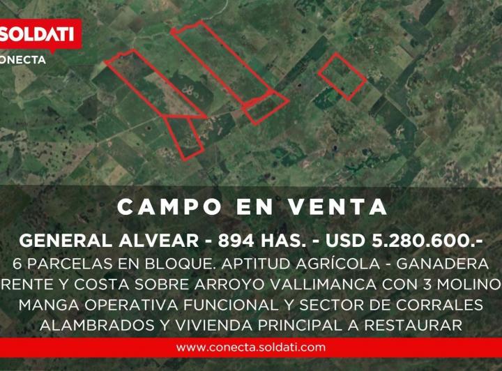 Campo · 894ha