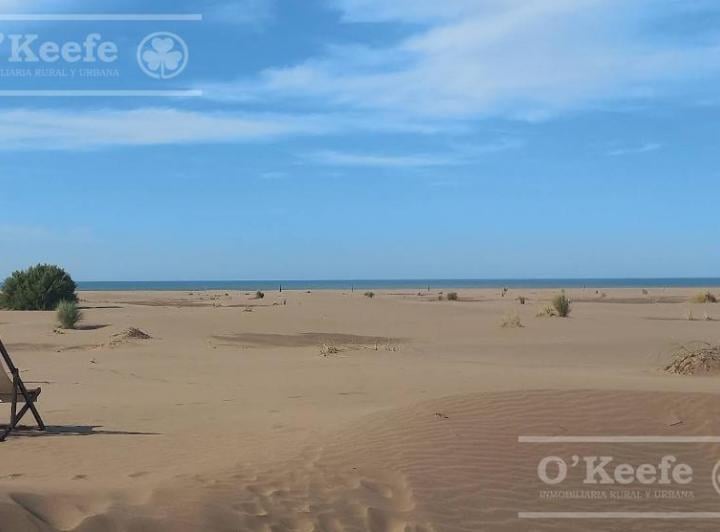 Campo · 1200000ha